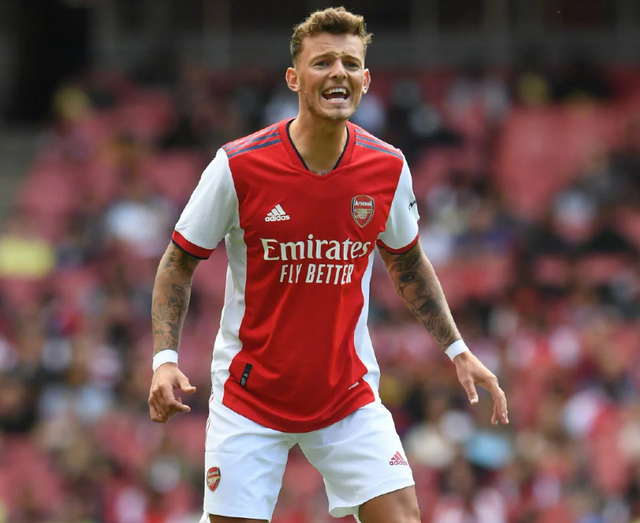 YABO- 阿森纳名将 